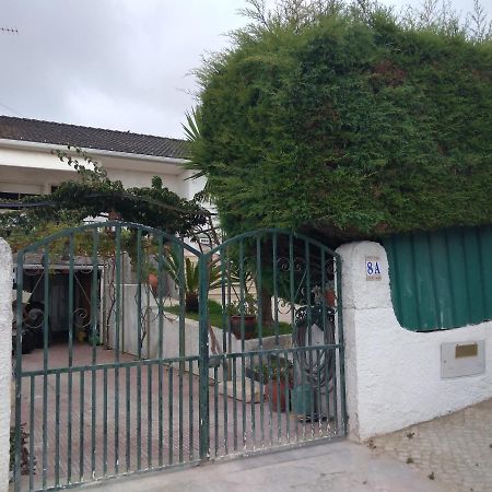 Casa Dos Cedros Guest House Setubal Ngoại thất bức ảnh