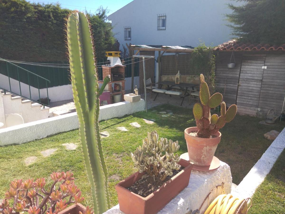 Casa Dos Cedros Guest House Setubal Ngoại thất bức ảnh